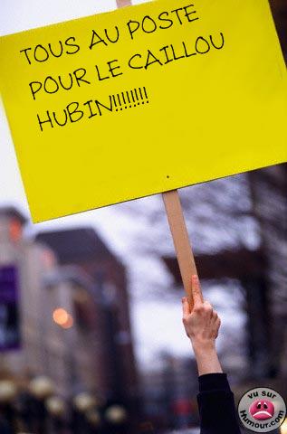 supporter